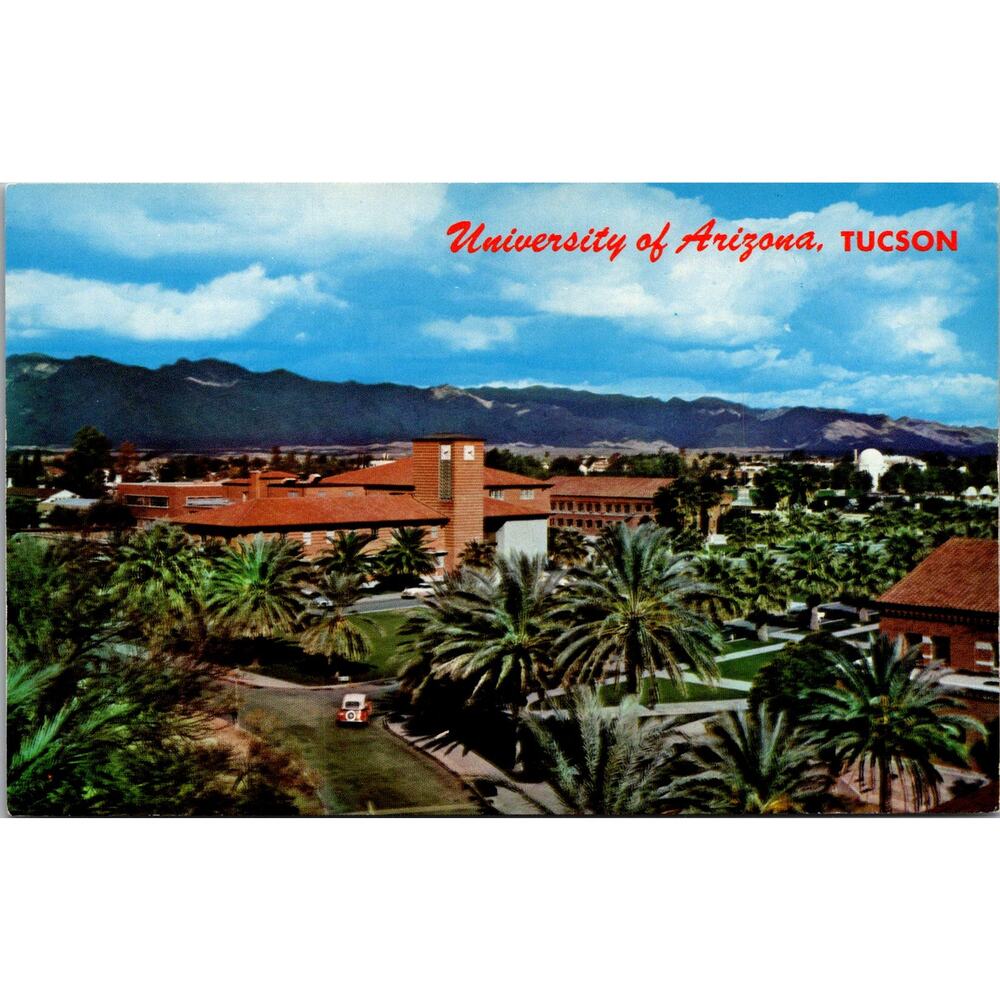 View Across University of Arizona Campus Tucson AZ Vintage Postcard SPW21